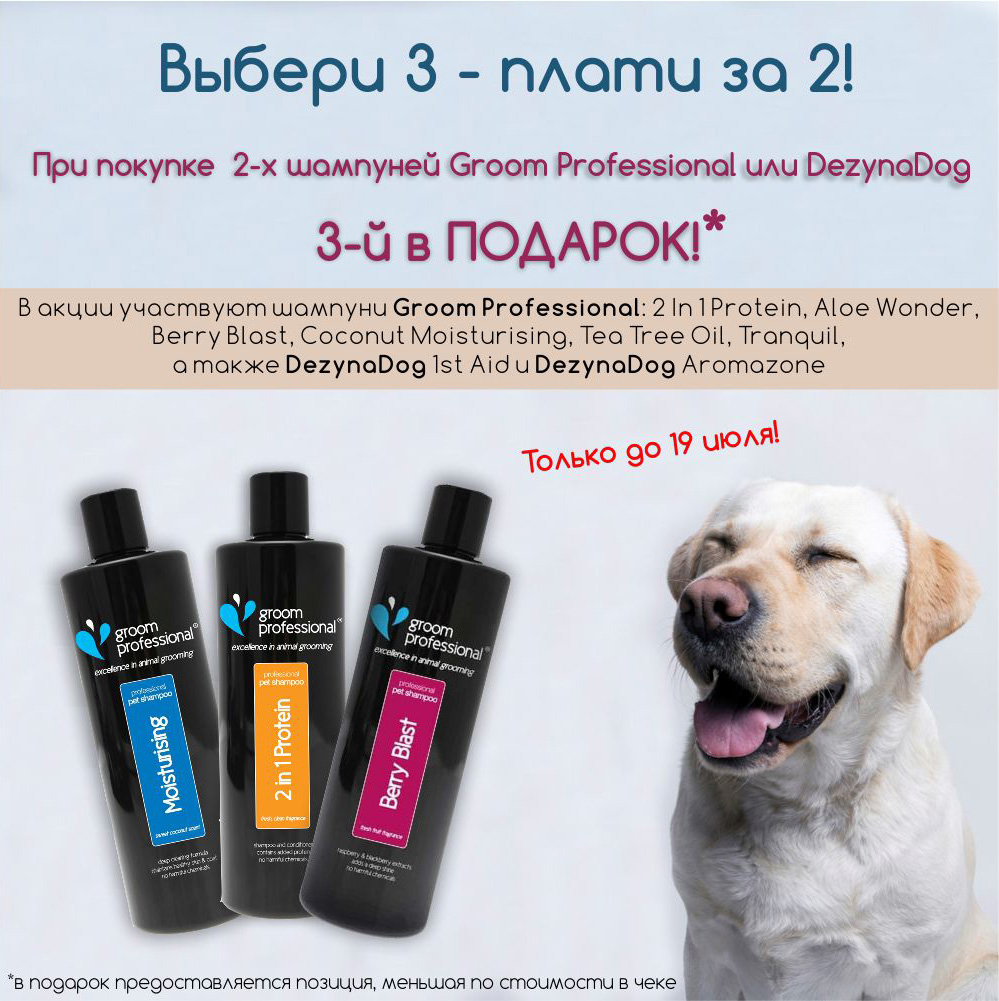 Груминг в интернете. Дети и незнакомцы в сети. Груминг в интернете. Интернет-травля. Социальный груминг это.